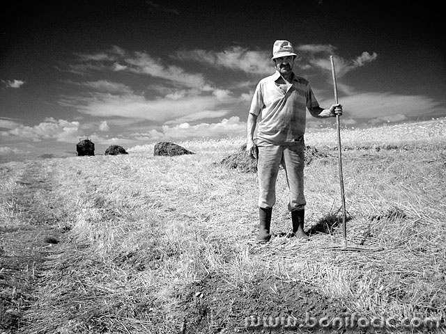 bw___Collector___Brinje, Croatia.