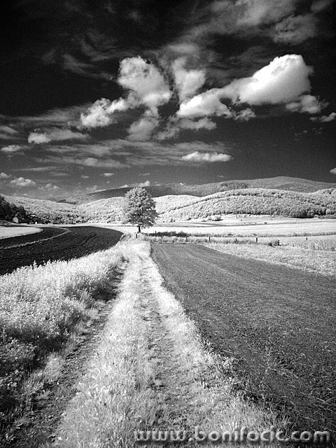 bw___Core___Kompolje, Croatia.
