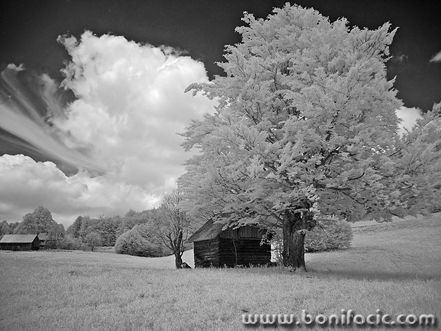 bw___Cote___Bjelsko, Croatia.