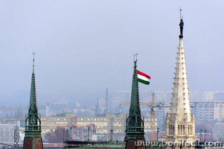 buda29mal