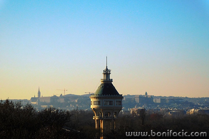 buda64mal