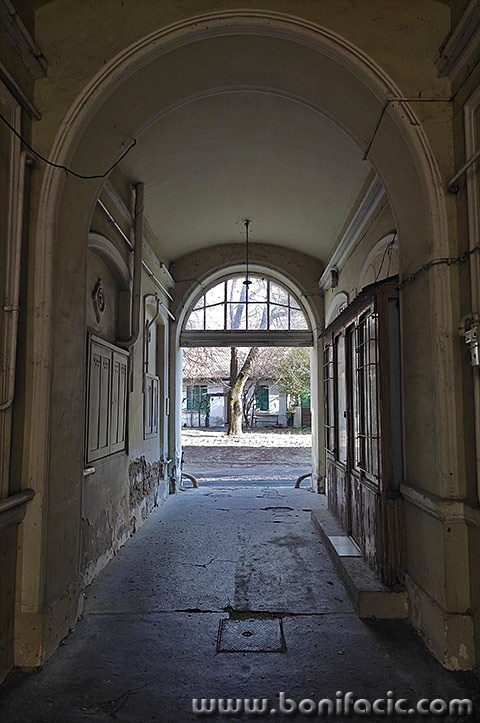 buda102mal