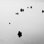 bw___Decimated___Fuzine, Croatia.