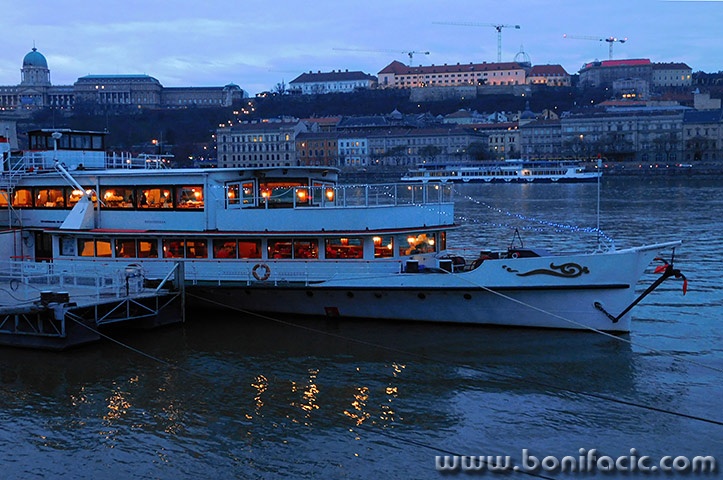 buda49mal
