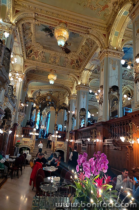 buda112mal