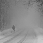 bw___Dog Walk___Bjelolasica, Croatia.