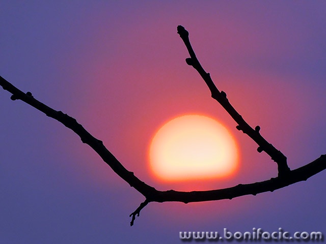 suncegrana3mal