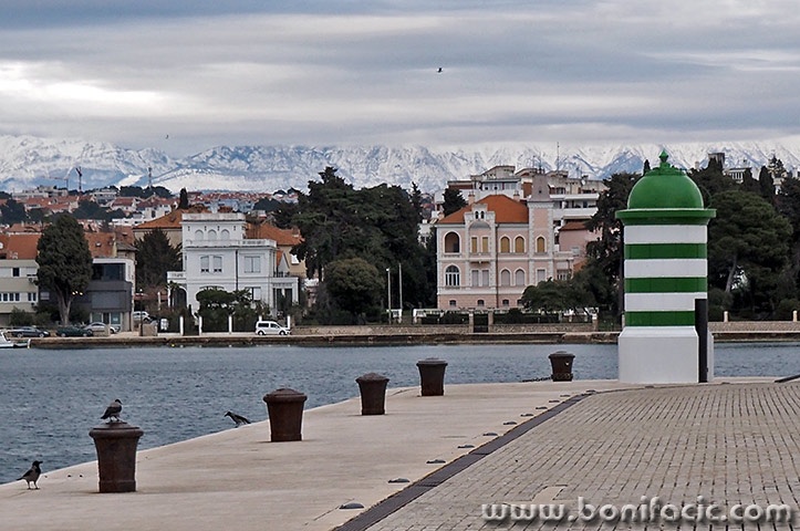 zadarrivasnigvelebit1mal