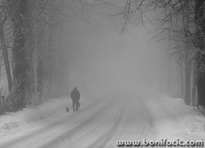 bw___Dog Walk___Bjelolasica, Croatia.