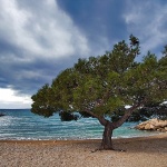 punatpinijaplazaoblak1mal