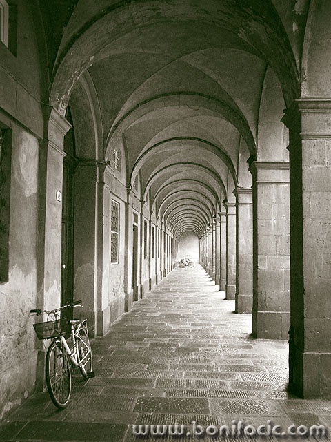 lucca4 copymal