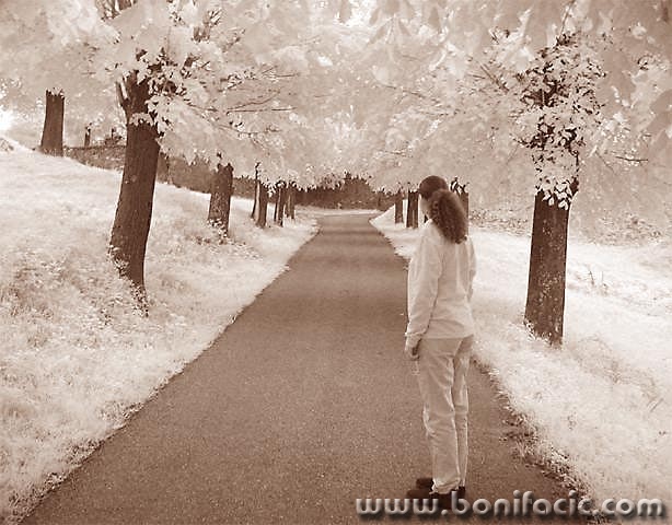 bw___Dream___Modrus, Croatia.