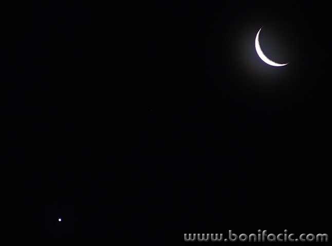 misecvenerakonjukcija1mal