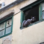 cresmackaponestra1mal