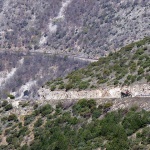 P1250938hcresbeli1mal