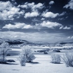 bw___Fields___Babno Polje, Slovenia.
