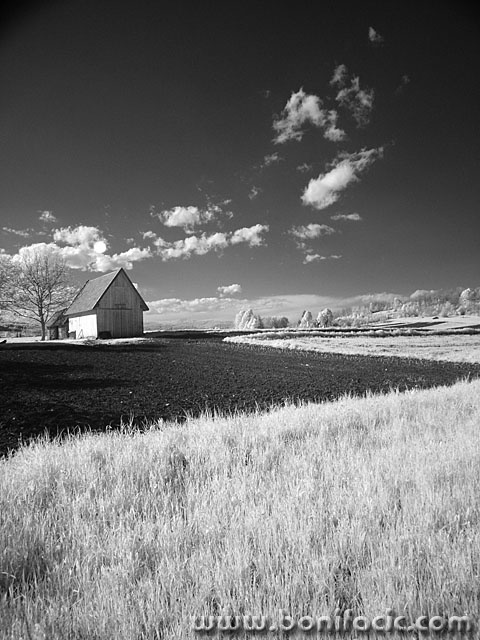 bw___Farm___Sabljak Selo, Croatia.