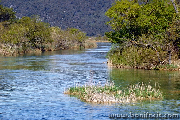 npkrka22mal