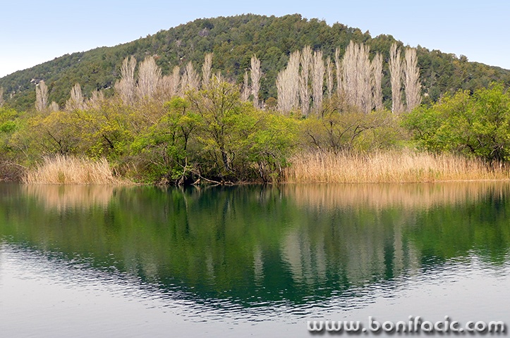 npkrka31mal