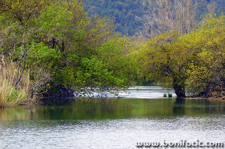 npkrka33mal