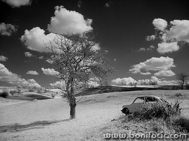 bw___Forever Rest___Kordun, Croatia.