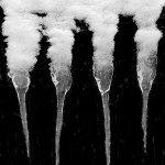 bw___Freddy Krueger Is Back___Oltari, Croatia.