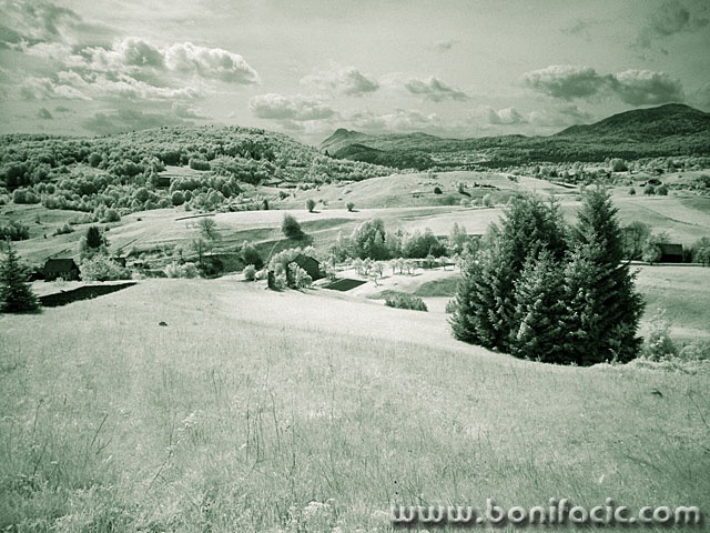 bw___Green Fields___Vrbovsko, Croatia.