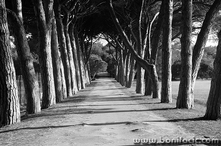 brijuni23112bwmal