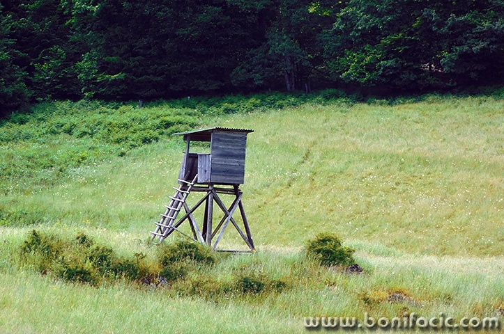 kocevje26mal