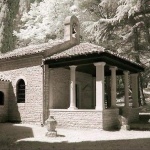 bw___In The Jungle___Brijuni, Croatia.