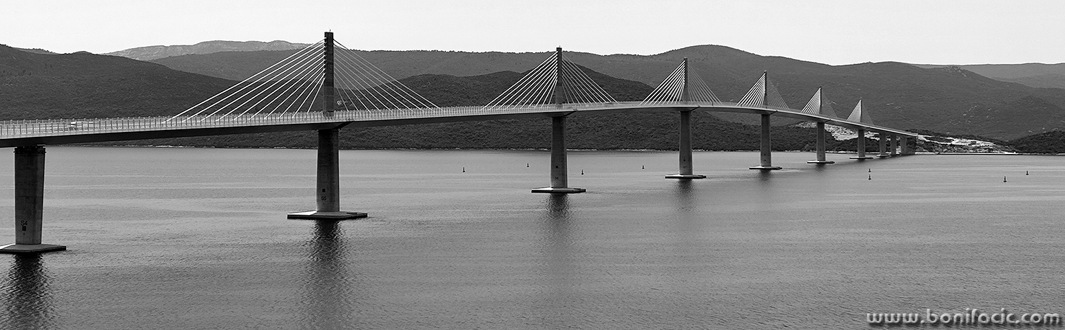 mn135BWpanomal