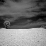 bw___Incumbent___Kordun, Croatia.