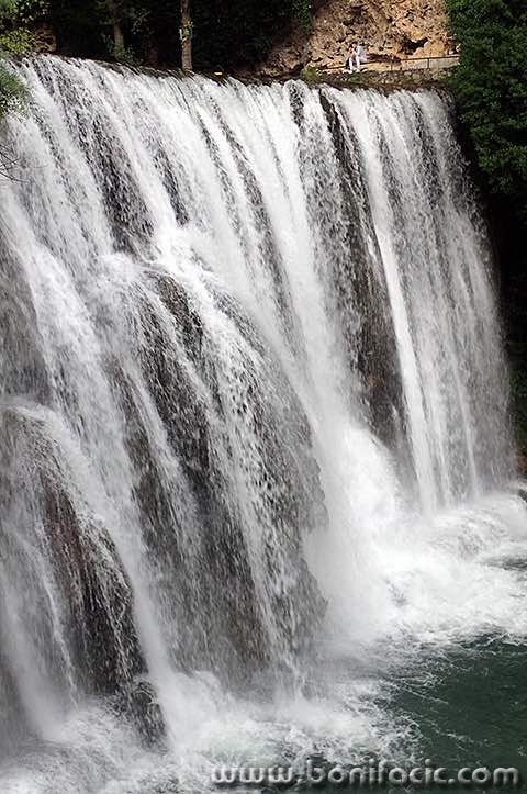 jajce38mal