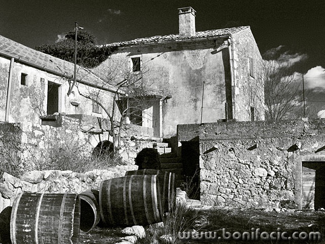 bw___In Village___Risika, Croatia.