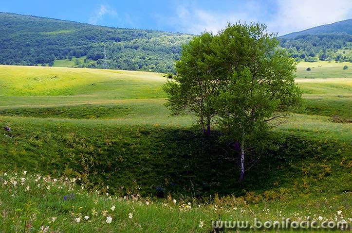 stablobihac1mal