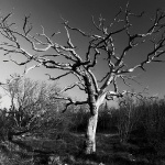 bw___Lethal___Tribulje, Croatia.