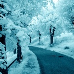 bw___Limbo___Modrus, Croatia.