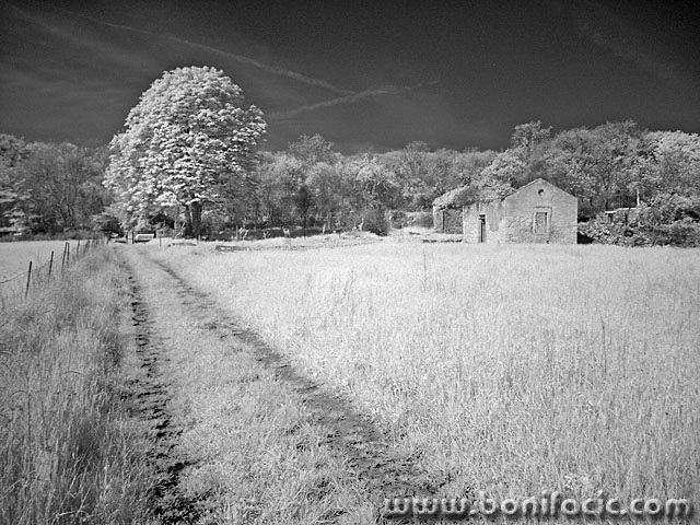 bw___Kimp___Vrh, Croatia