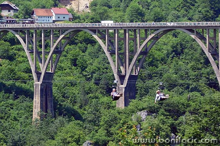 ziplinetara1mal