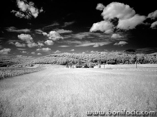 bw___Lea___Kompolje, Croatia.