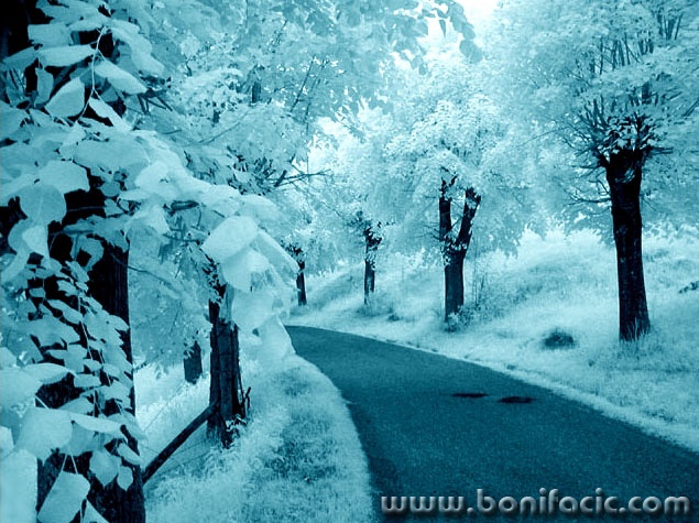 bw___Limbo___Modrus, Croatia.