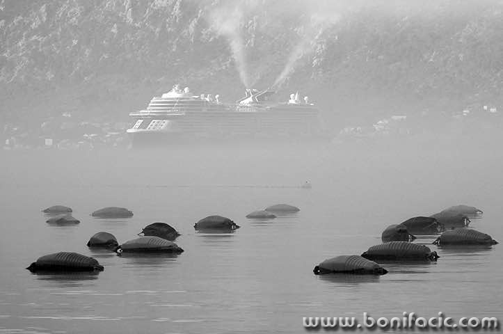 perast31mal