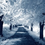 bw___Modrus Blues___Modrus, Croatia.