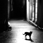 bw___Night Walker___Sibenik, Croatia.
