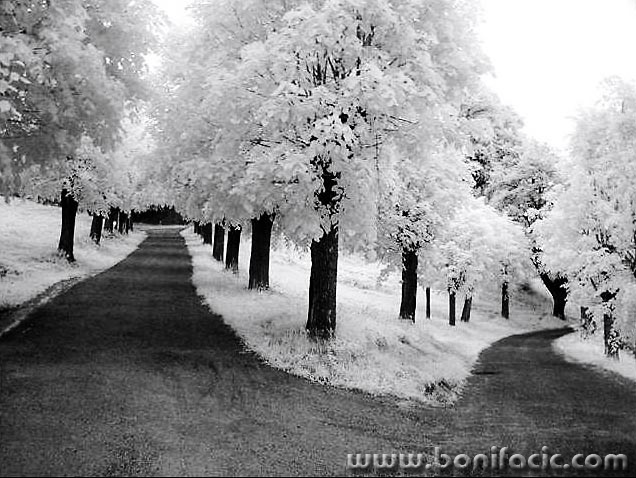 bw___Mystification___Modrus, Croatia,