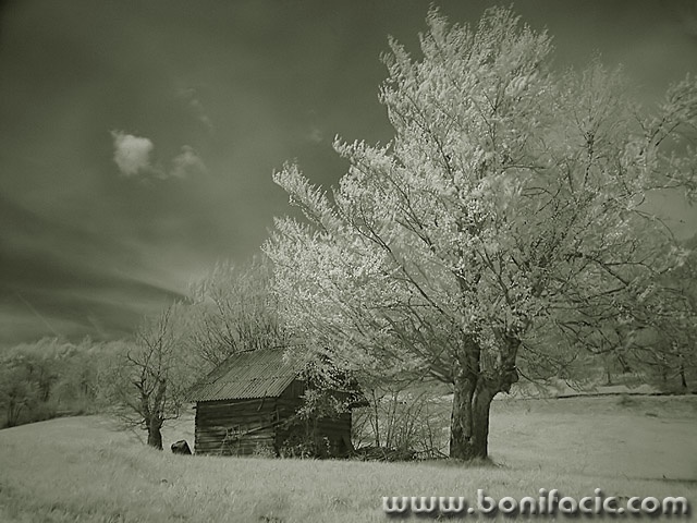 bw___Old Barn___Bjelsko, Croatia.
