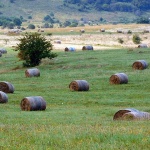 donjibabinpotok10mal