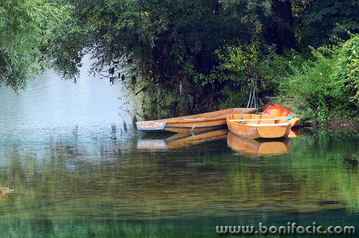 bkrupa51mal
