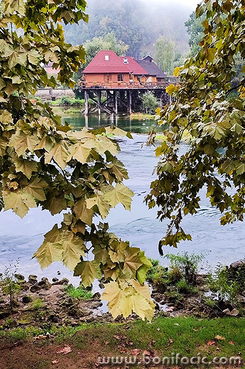 bkrupa211mal
