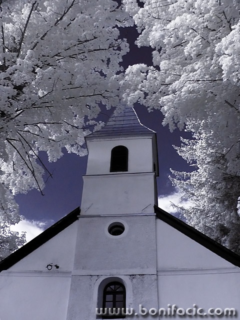 bw___Paradisical___Stara Susica, Croatia.